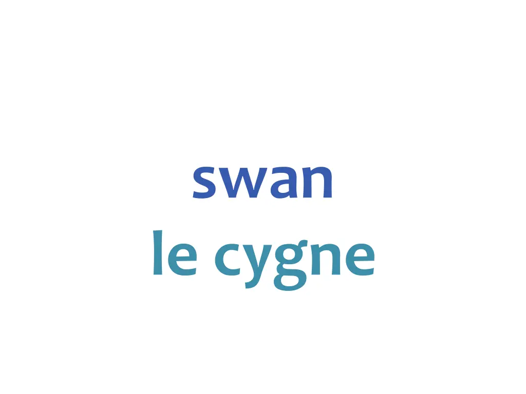 swan le cygne