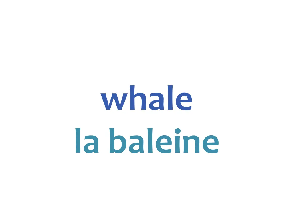 whale la baleine