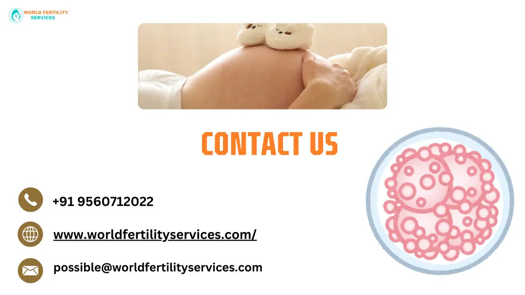 contact us