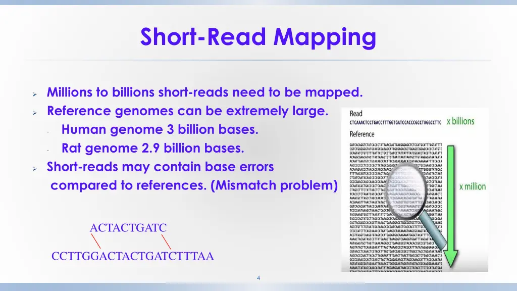 short read mapping