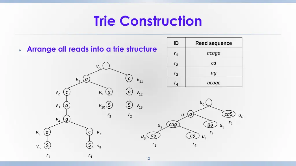 trie construction