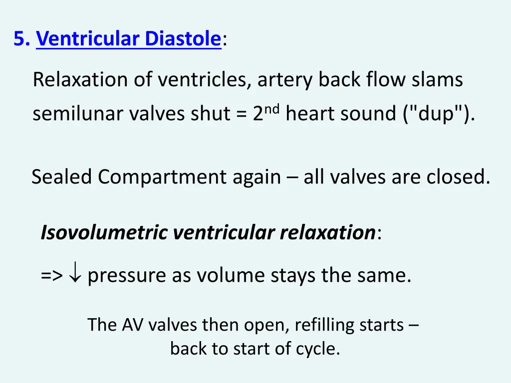 5 ventricular diastole