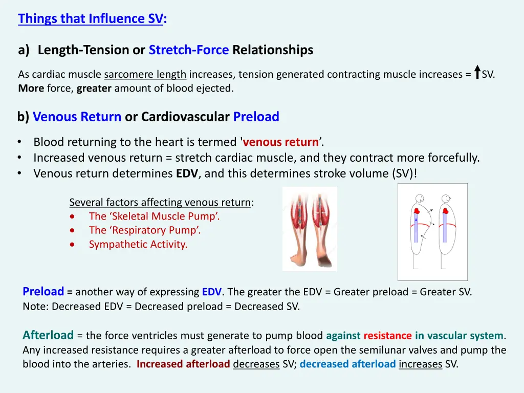 things that influence sv