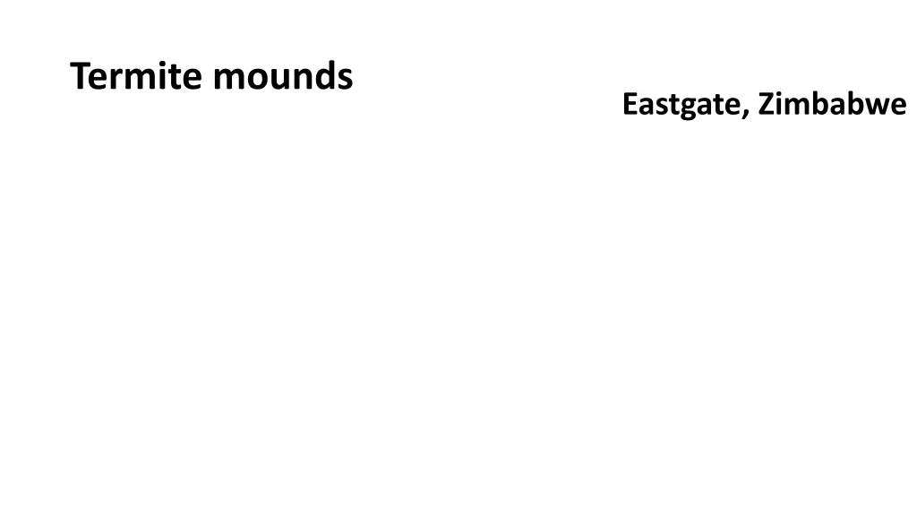 termite mounds