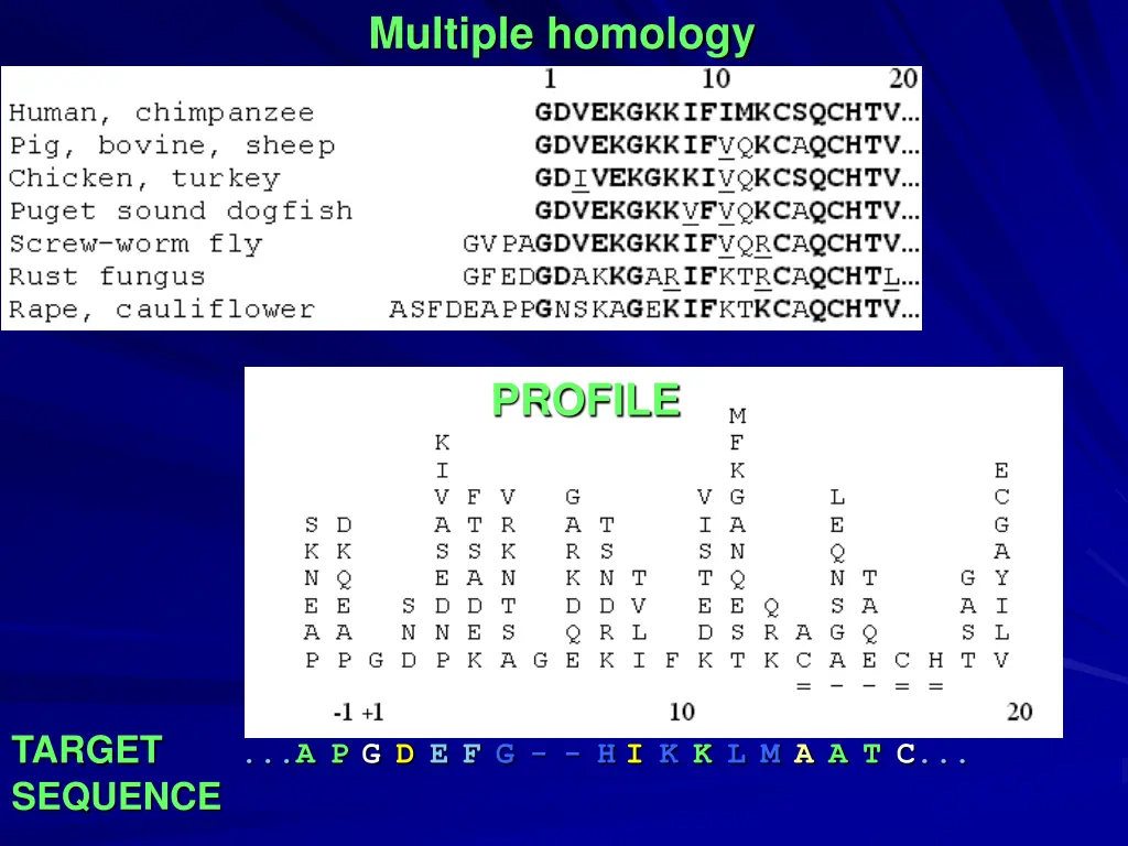 multiple homology 1