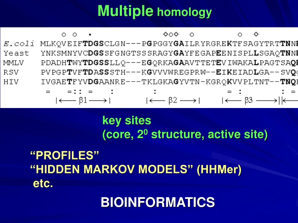 multiple homology