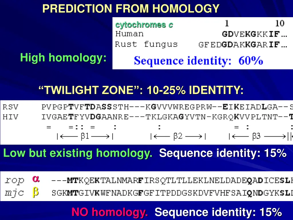 prediction from homology 1