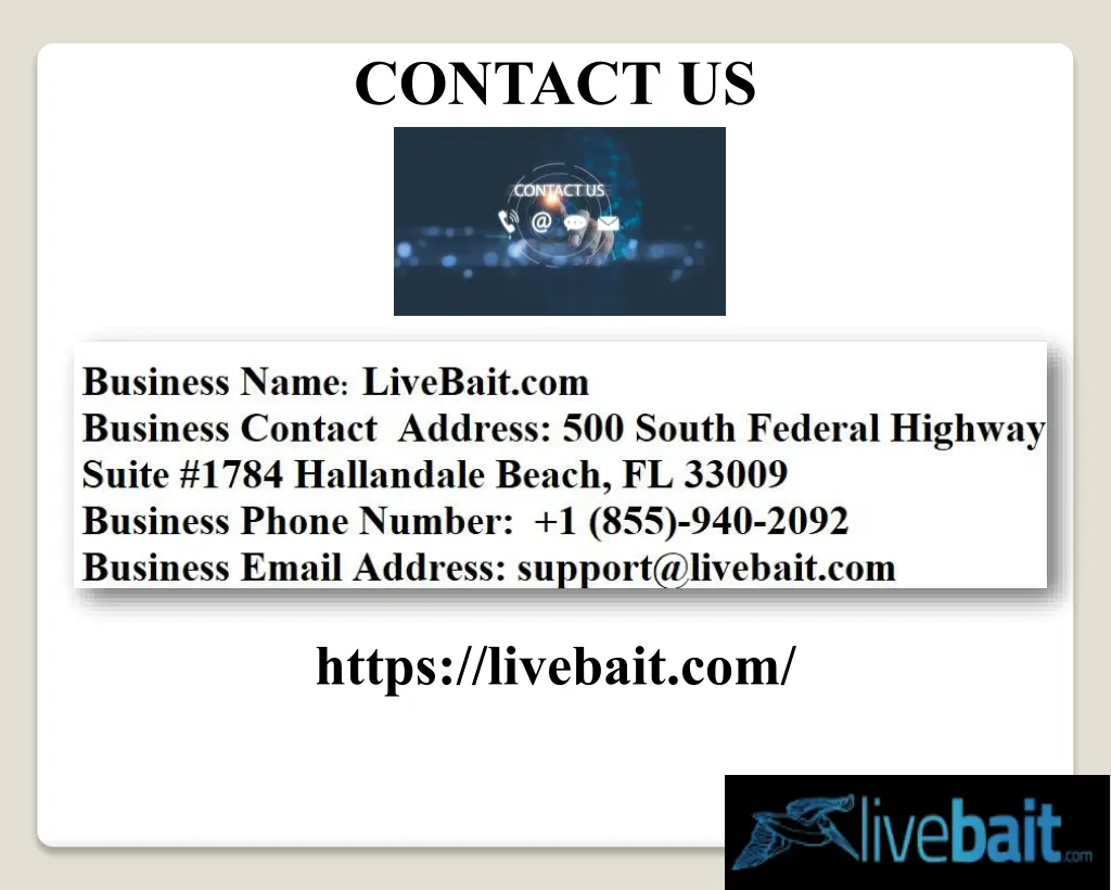 contact us