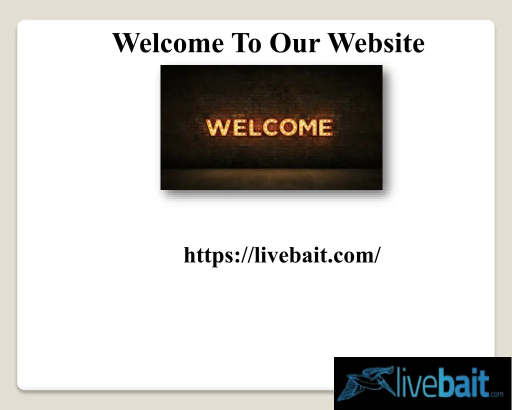 welcome to our website