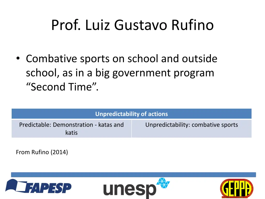 prof luiz gustavo rufino