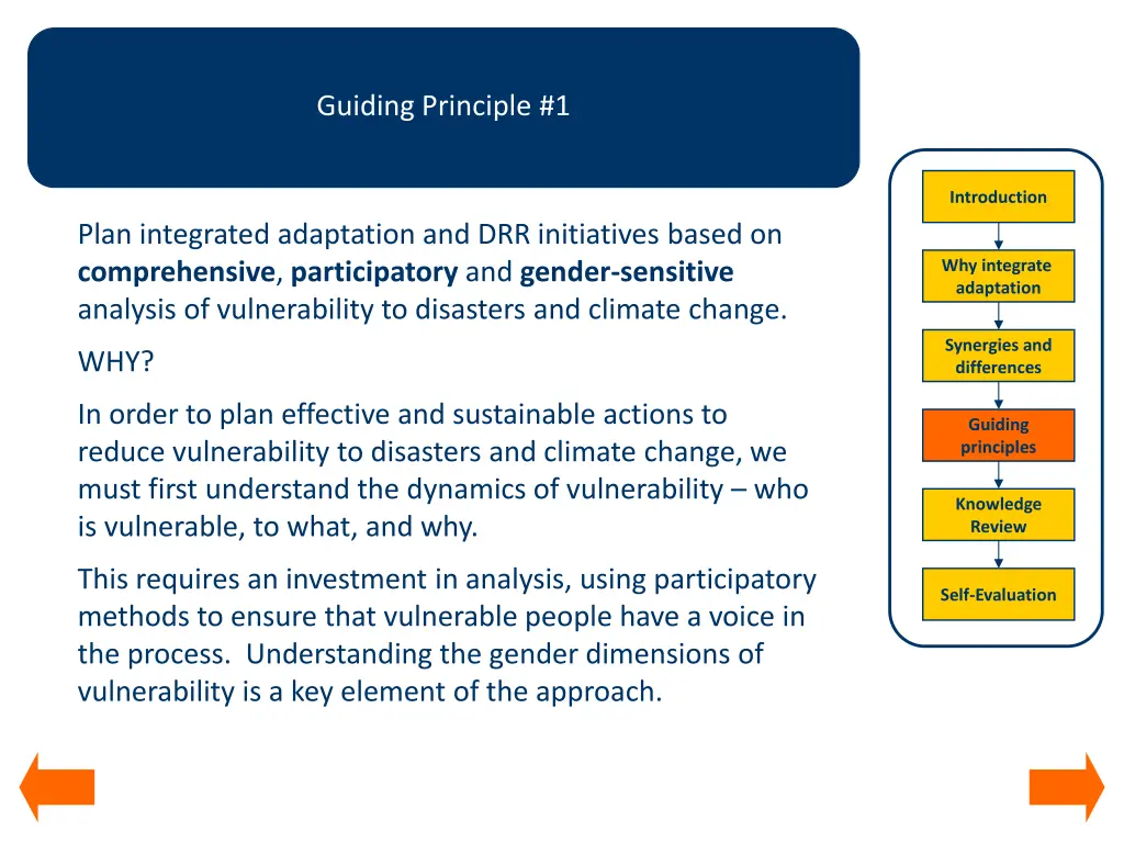guiding principle 1