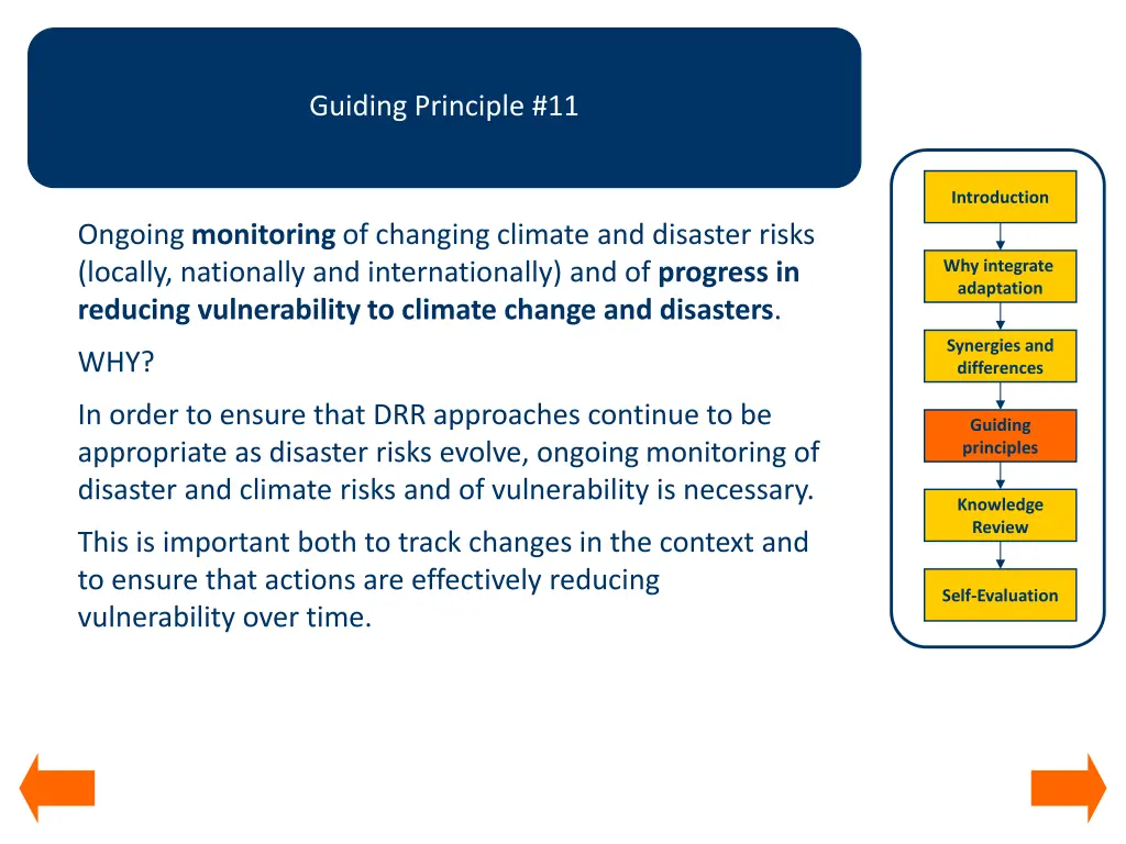 guiding principle 11
