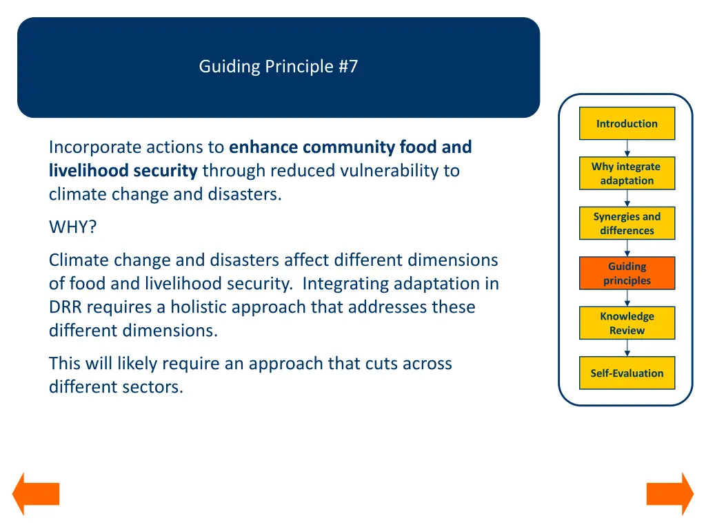 guiding principle 7