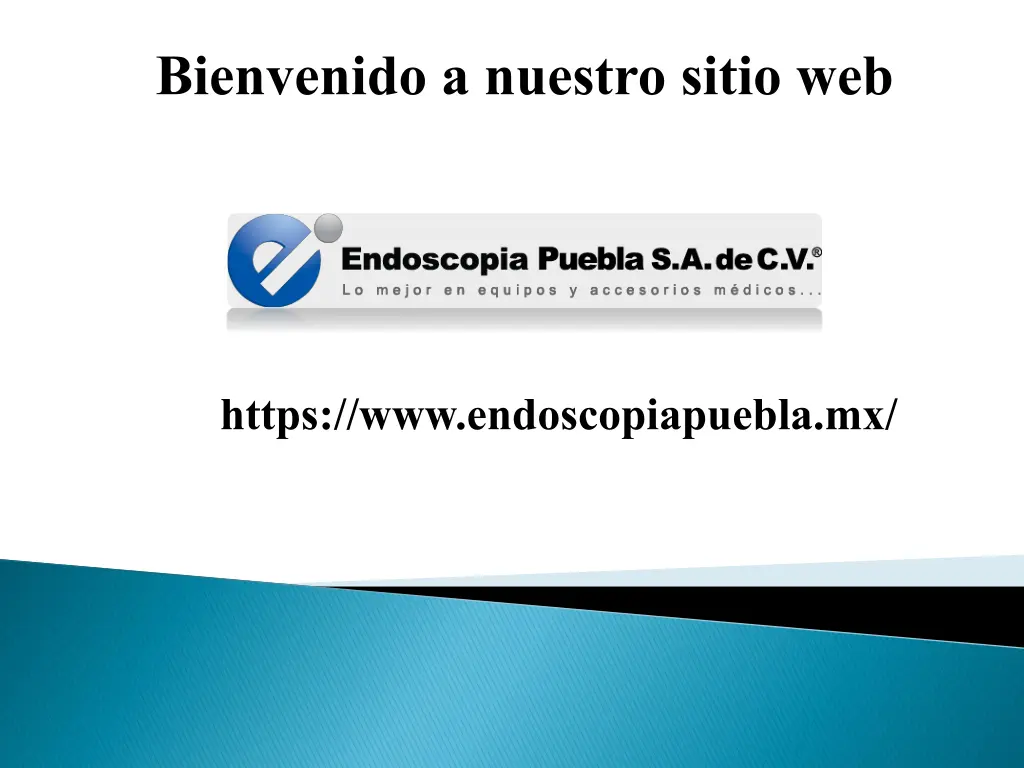 bienvenido a nuestro sitio web