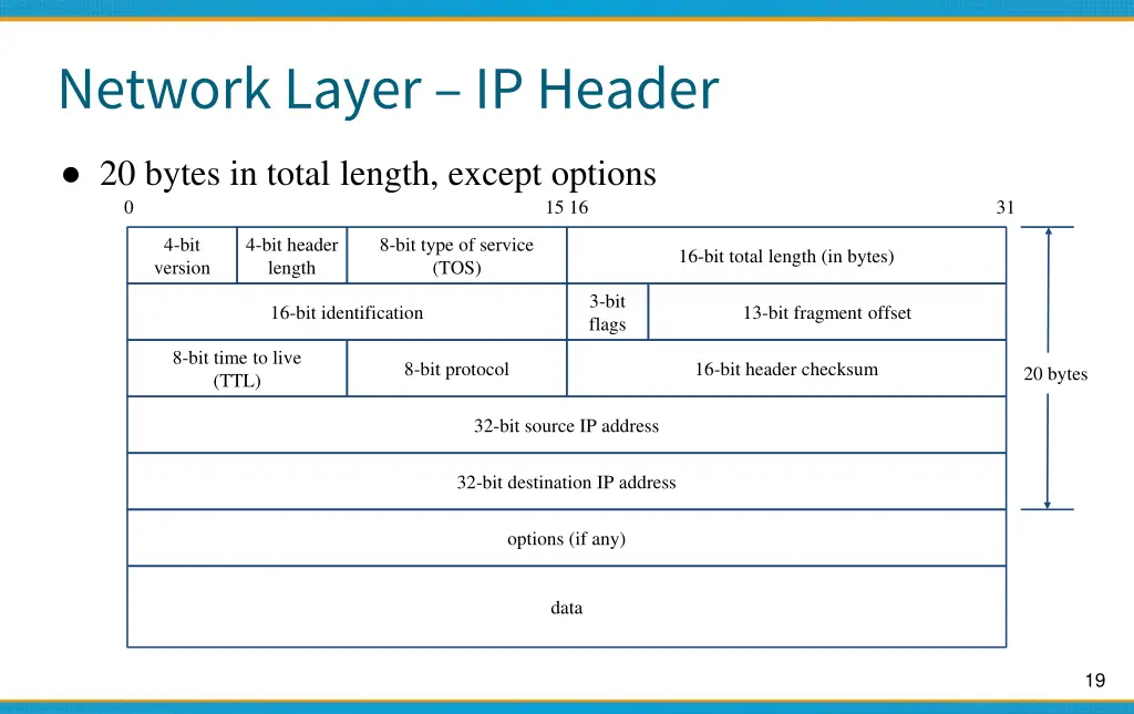 network layer ip header