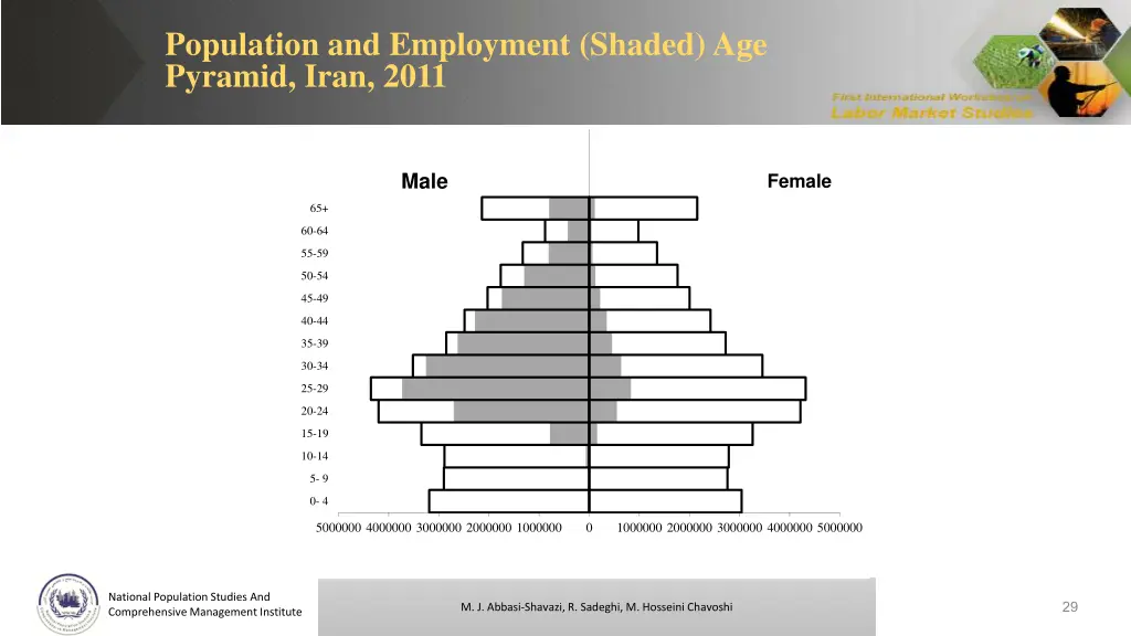 population and employment shaded age pyramid iran