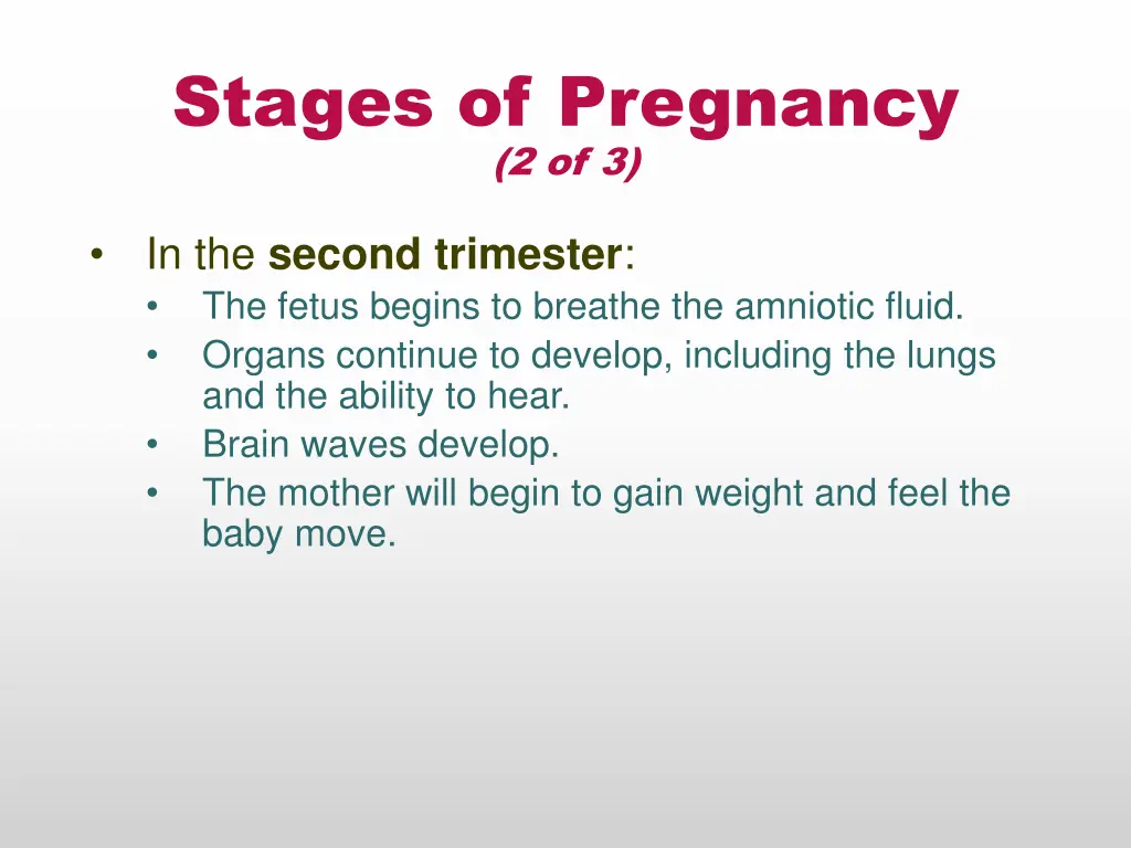 stages of pregnancy 2 of 3