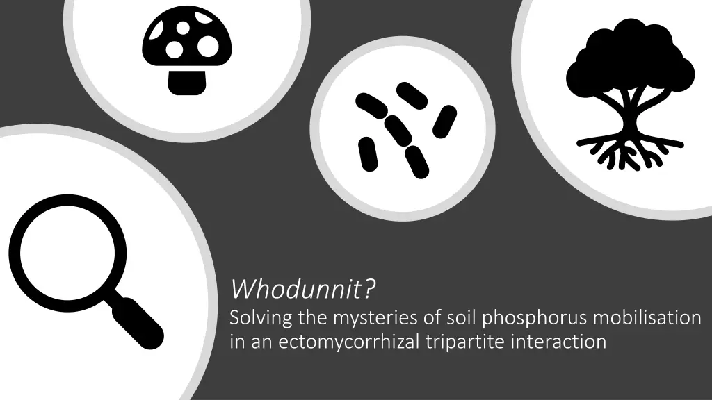 whodunnit solving the mysteries of soil