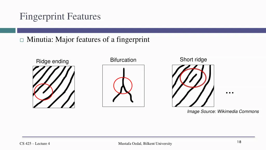 fingerprint features