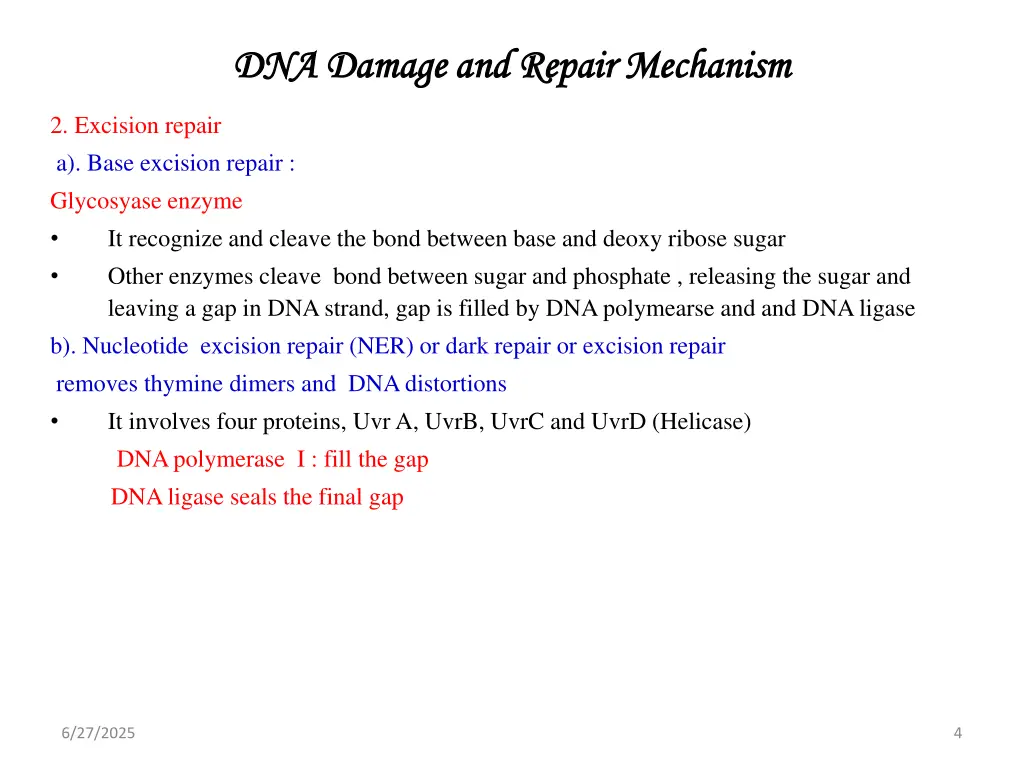 dna damage and repair mechanism 2 excision repair
