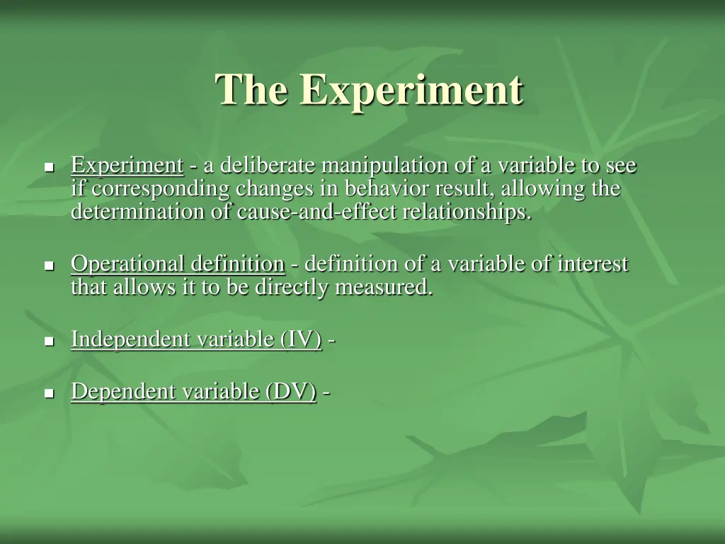 the experiment