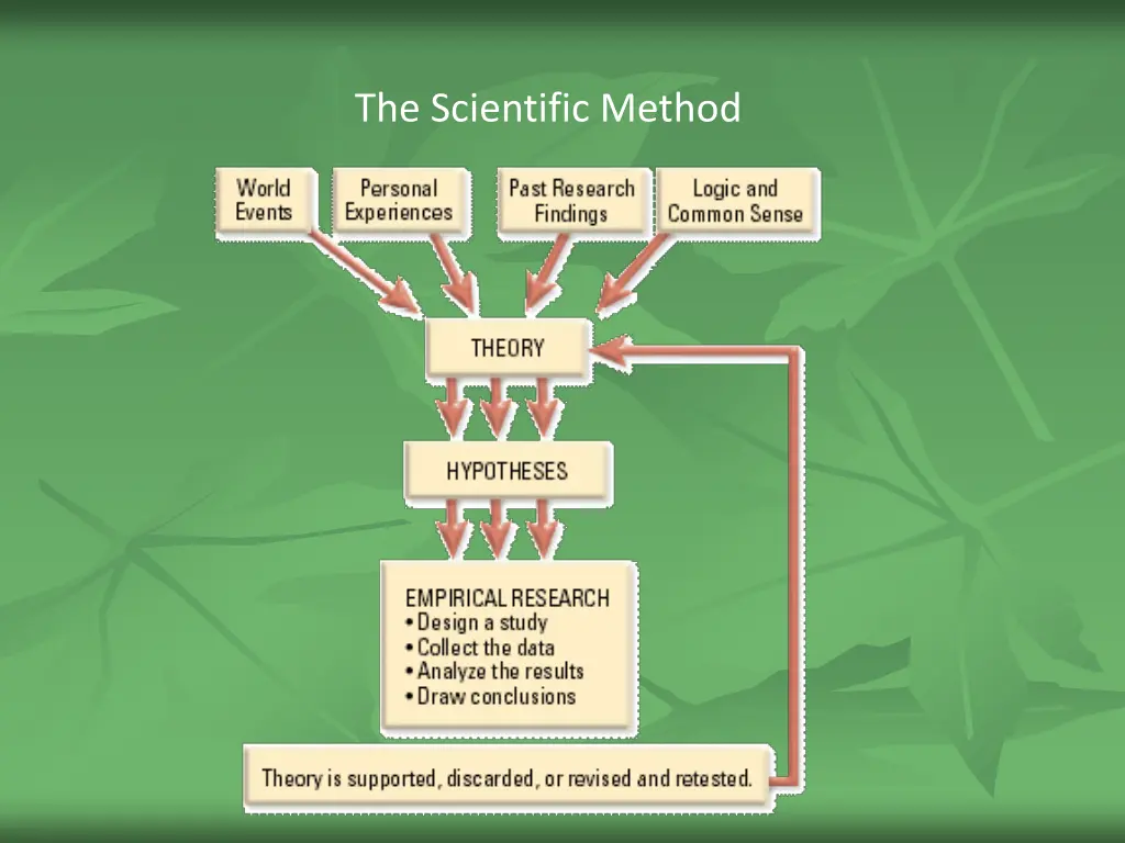 the scientific method