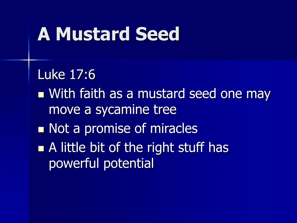a mustard seed