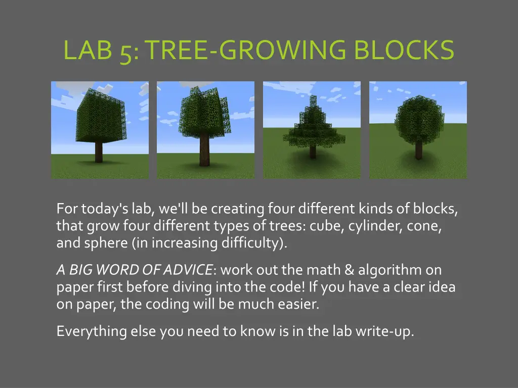 lab 5 tree growing blocks