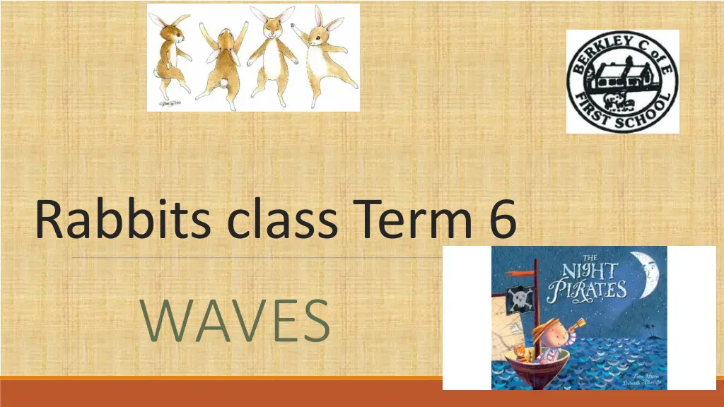 rabbits class term 6