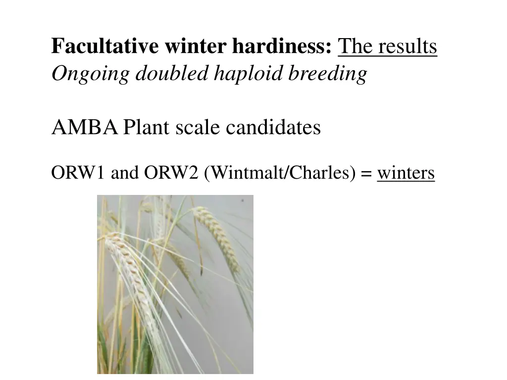 facultative winter hardiness the results ongoing