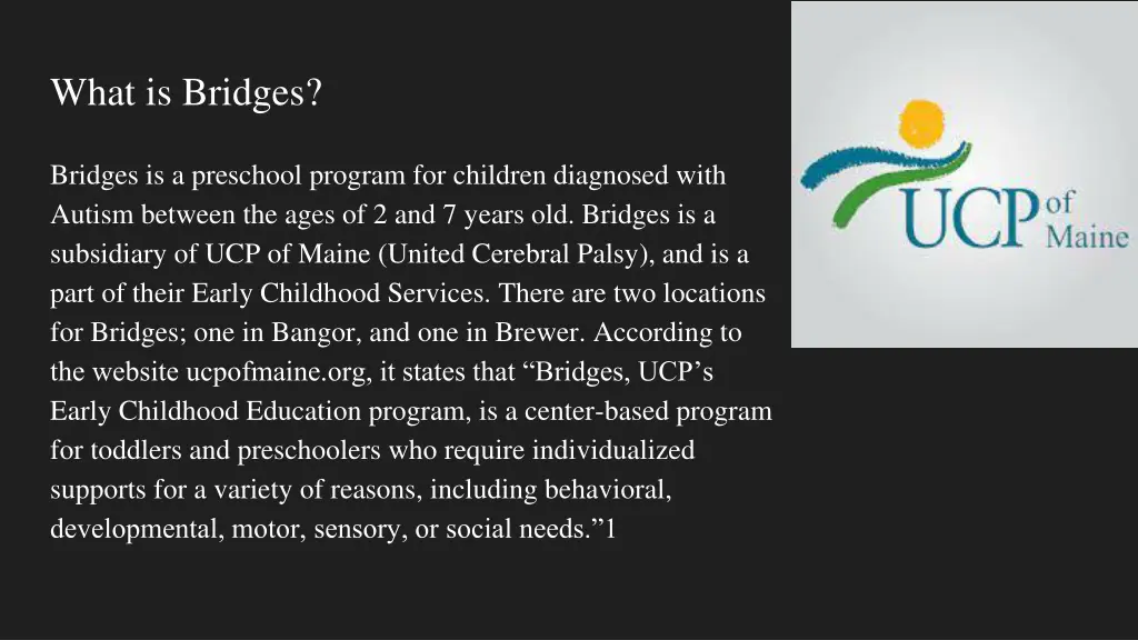 what is bridges