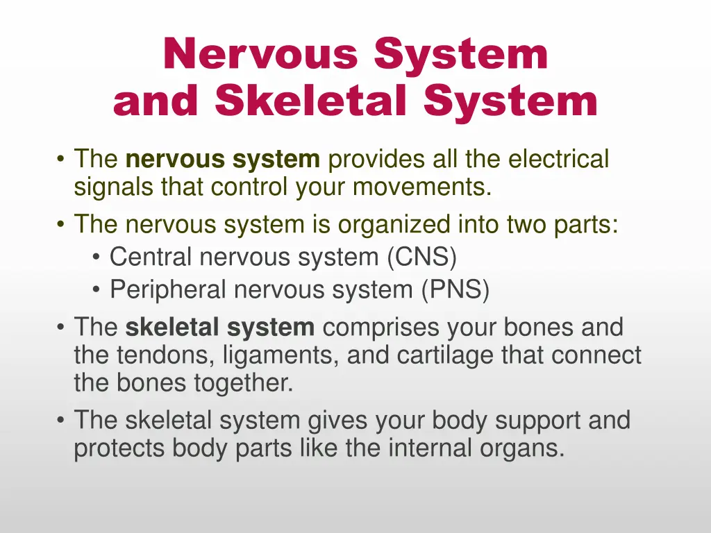 nervous system and skeletal system