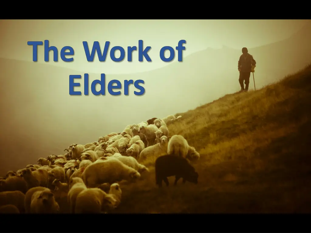 the work of elders