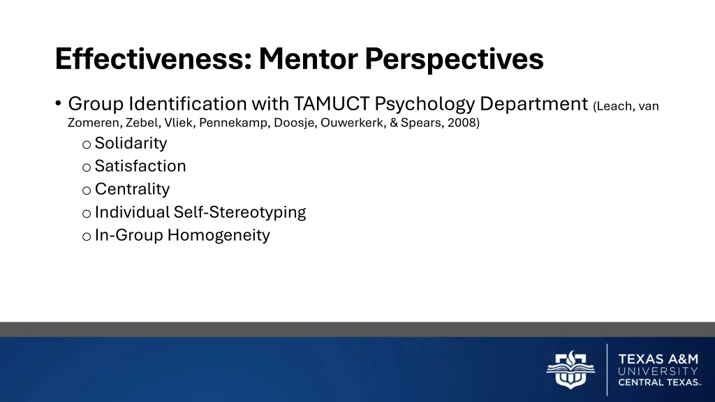 effectiveness mentor perspectives 2