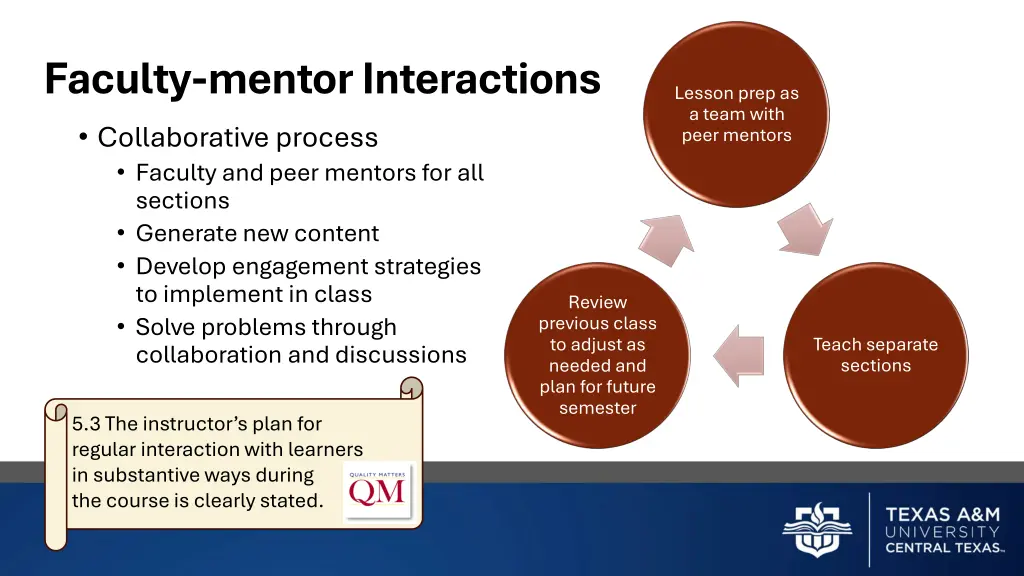faculty mentor interactions collaborative process