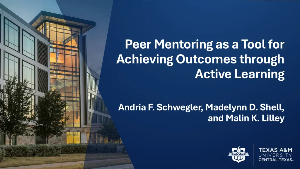 peer mentoring as a tool for achieving outcomes