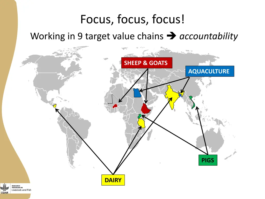 focus focus focus