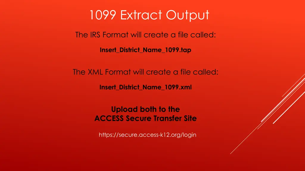 1099 extract output 1