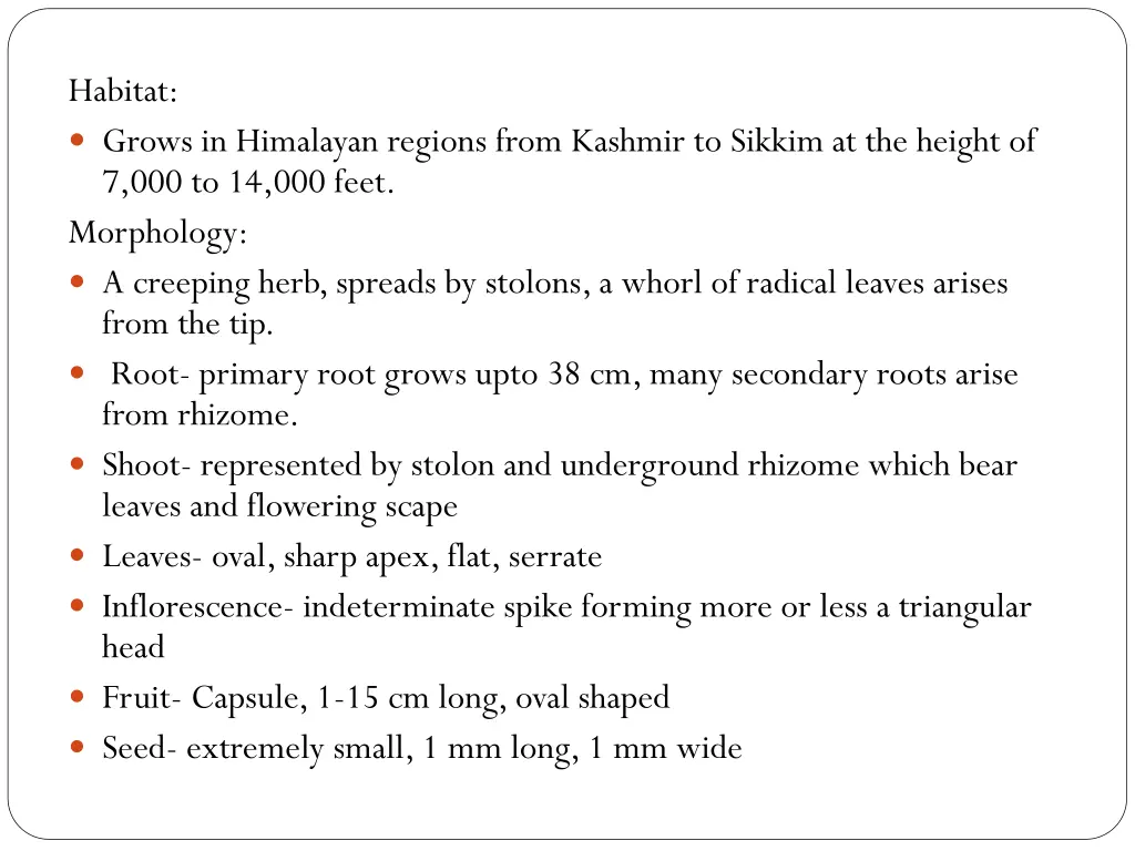 habitat grows in himalayan regions from kashmir
