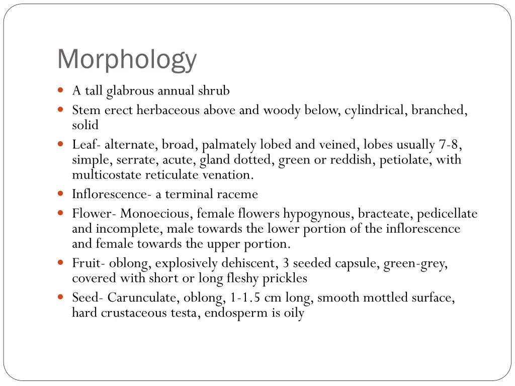 morphology