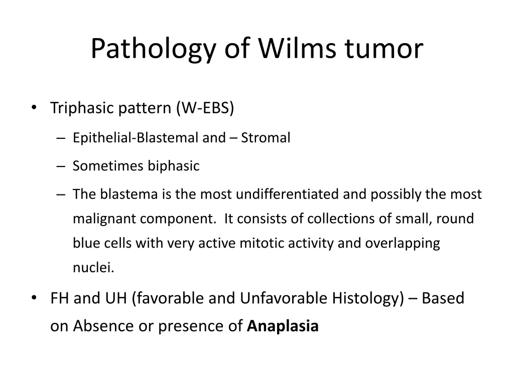 pathology of wilms tumor
