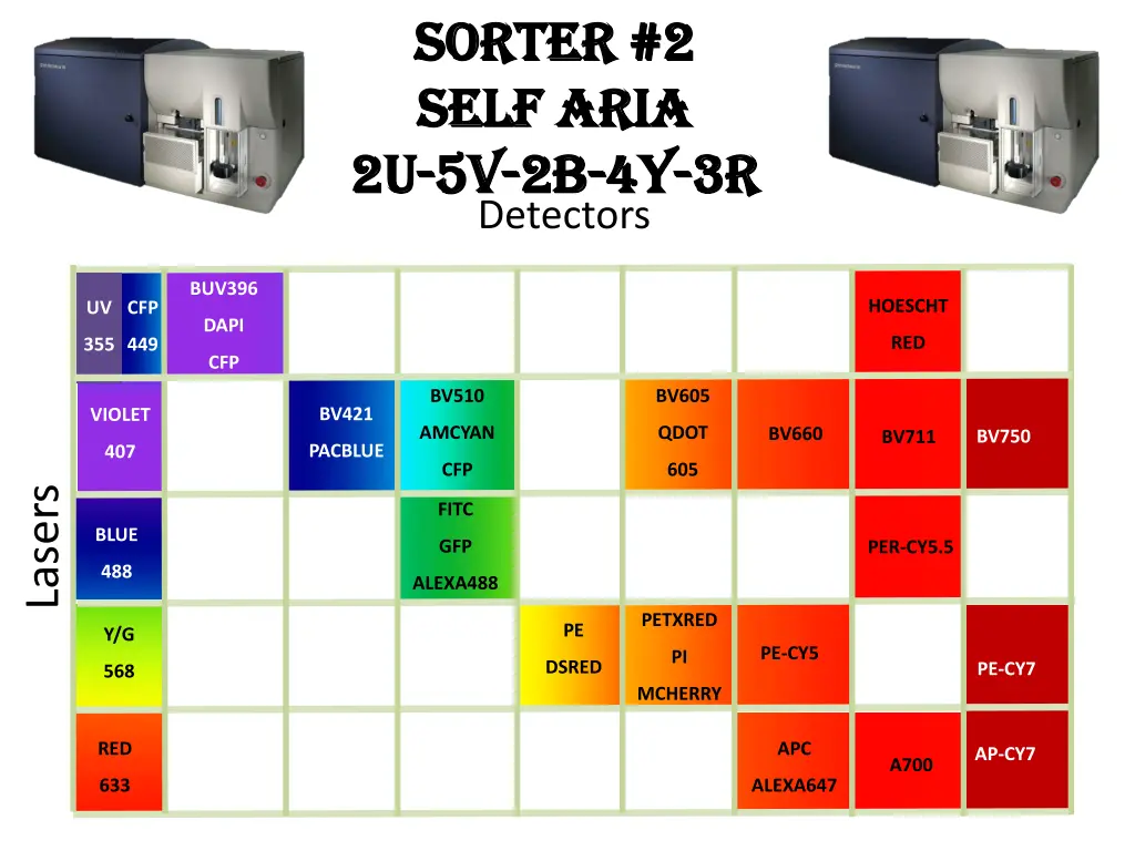 sorter 2 sorter 2 self aria self aria
