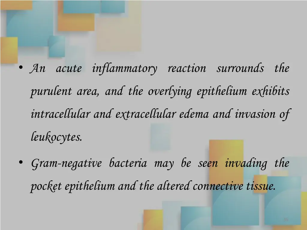 an acute inflammatory reaction surrounds the