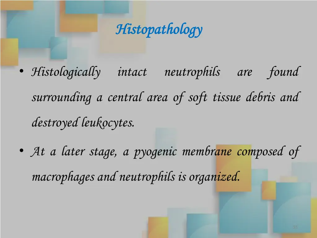 histopathology histopathology 1