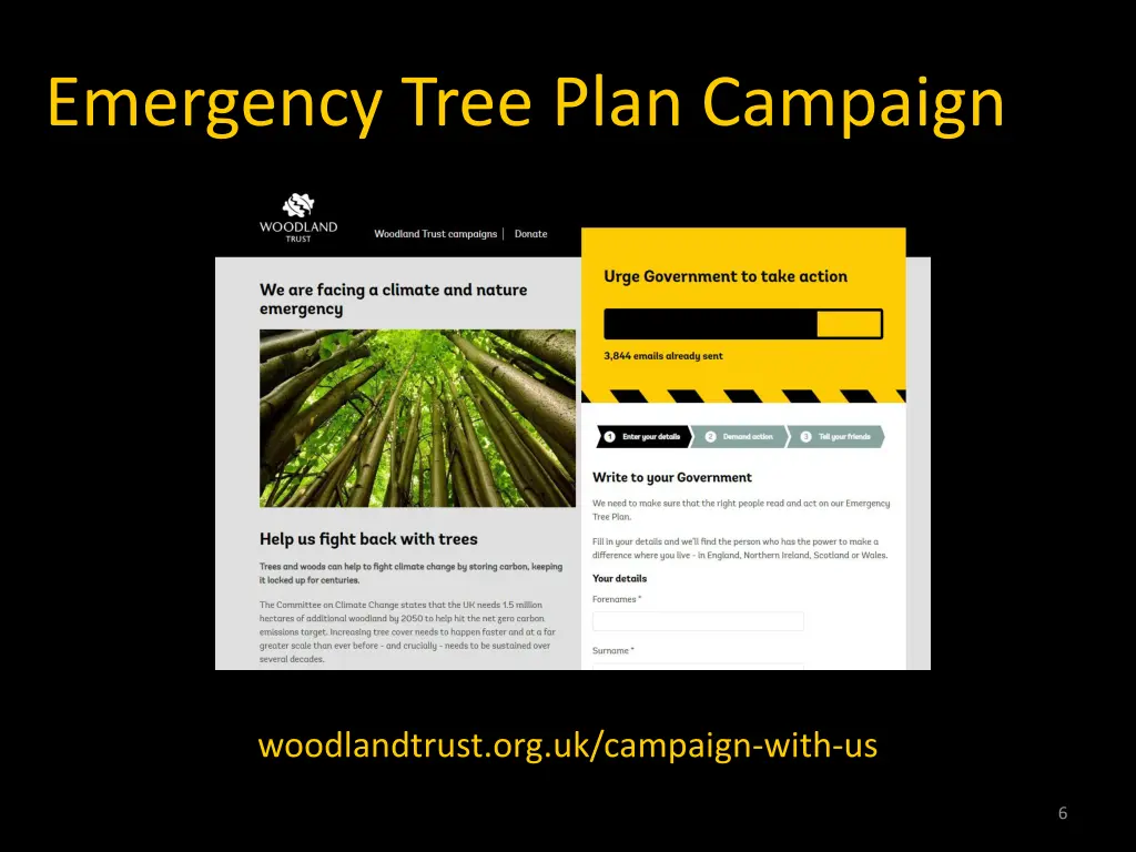 emergency tree plan campaign