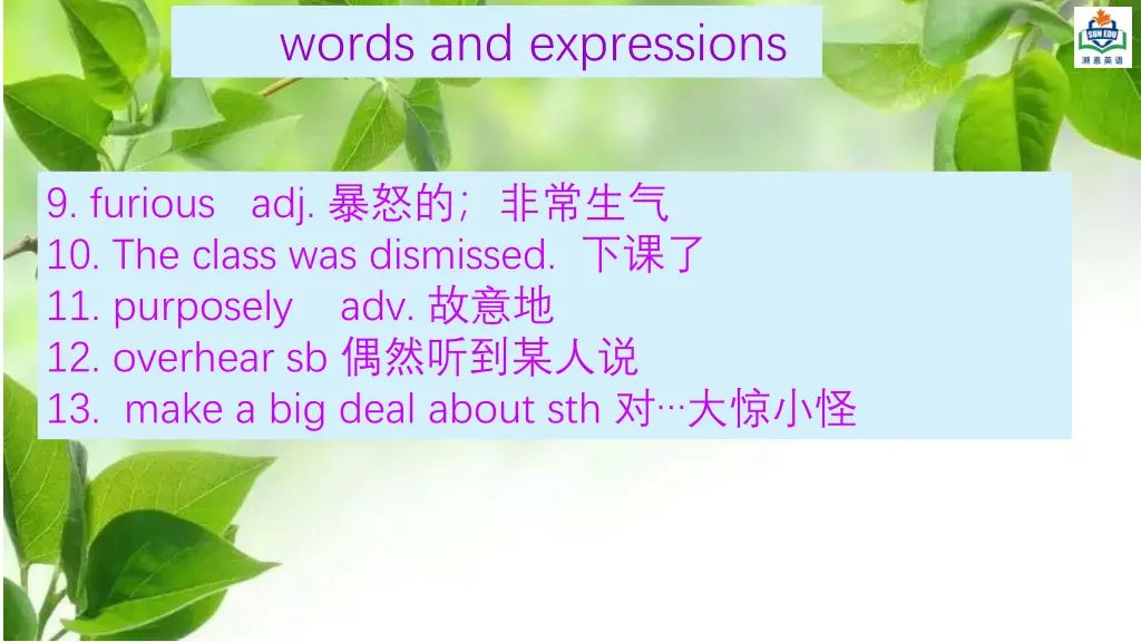 words and expressions 1