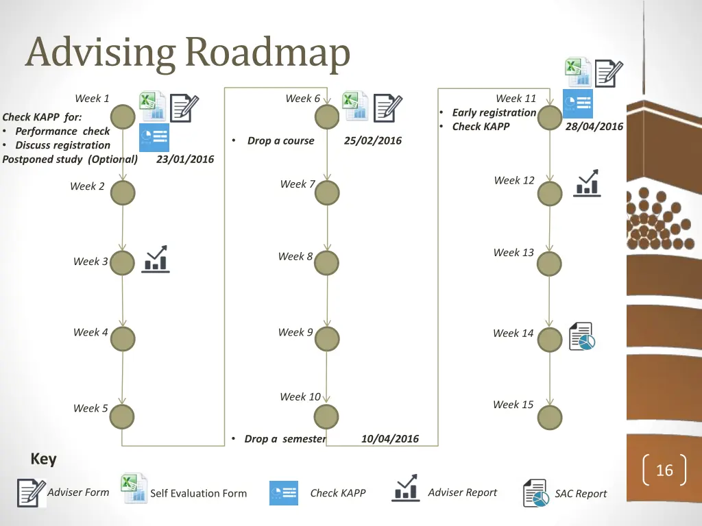 advising roadmap