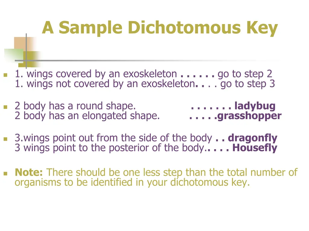 a sample dichotomous key