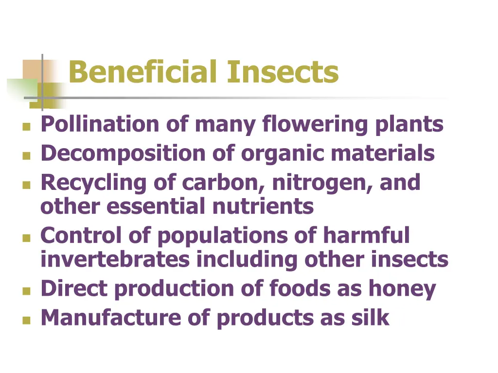 beneficial insects