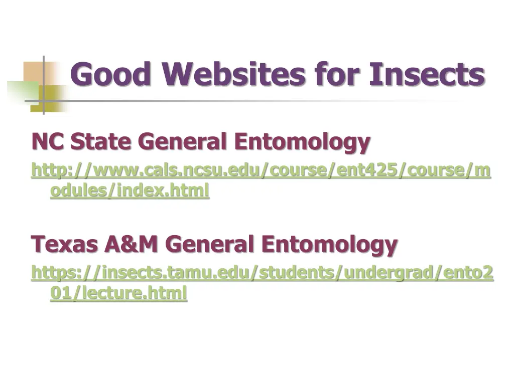 good websites for insects